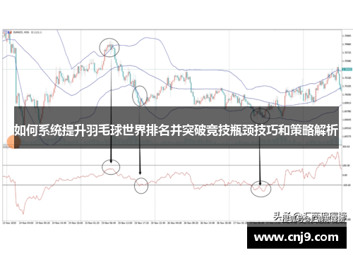 如何系统提升羽毛球世界排名并突破竞技瓶颈技巧和策略解析