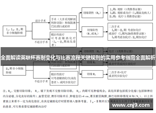 全面解读英联杯赛制变化与比赛流程关键规则的实用参考指南全面解析